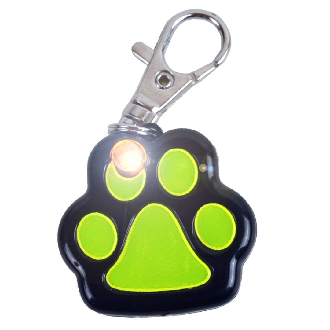 Reflective dog tag with switchable light