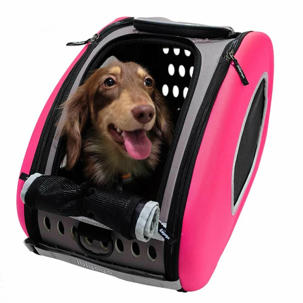 Trolley for dogs with pink dog carrier
