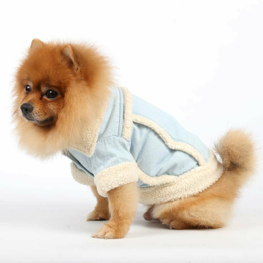 Warm dog garb - well lined jeans dog jacket