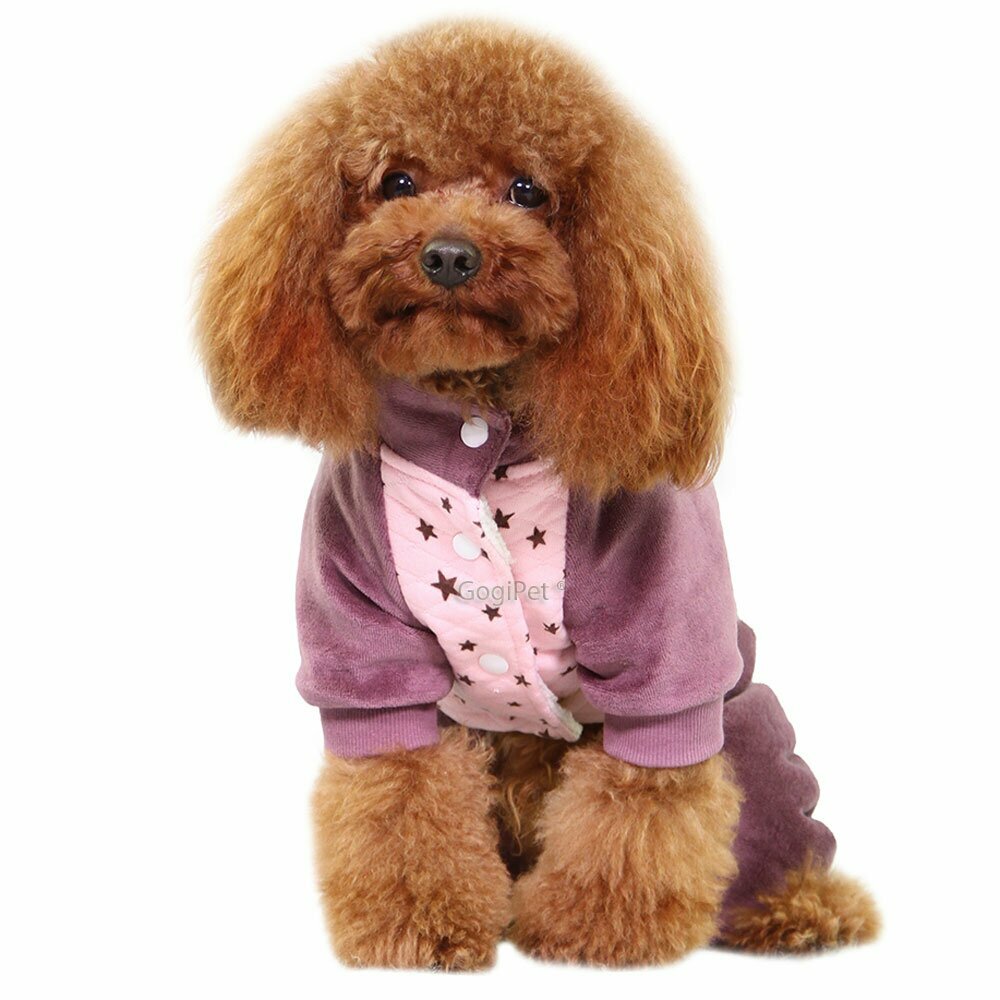 Warm dog coat Love Pink with stars