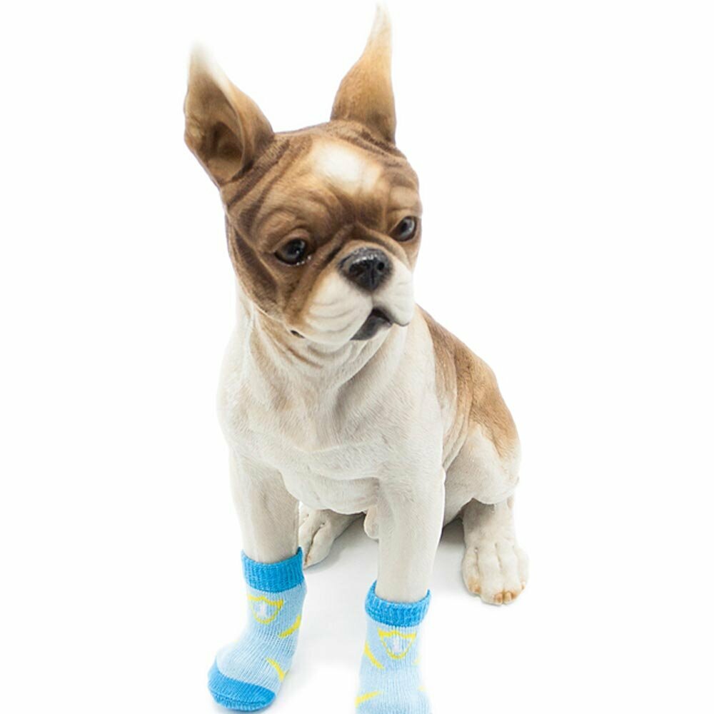 High quality dog socks by GogiPet babyblue