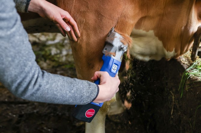 Aesculap Econom CL horse and cattle clipper cordless