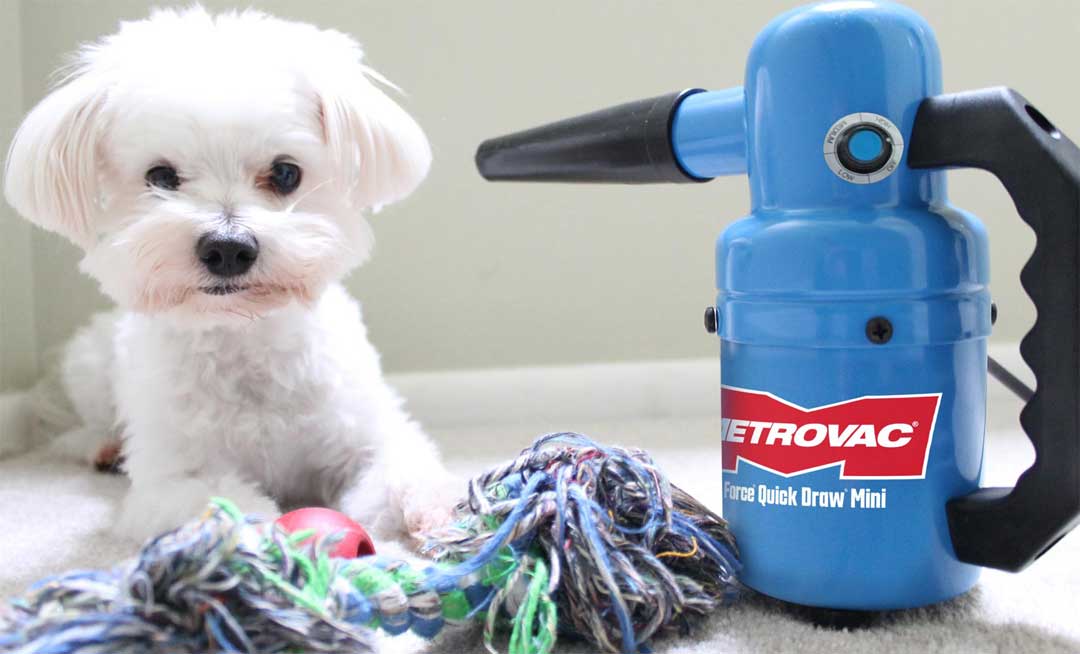 Small handy dog dryer with adjustable speed - Metro Quick Draw mini
