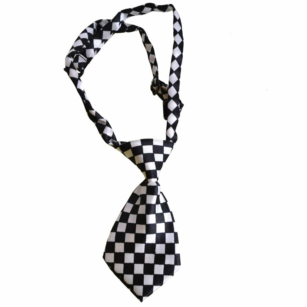 Tie for dogs Chess pattern by GogiPet