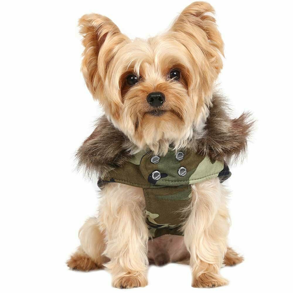 Camouflage dog coat for winter