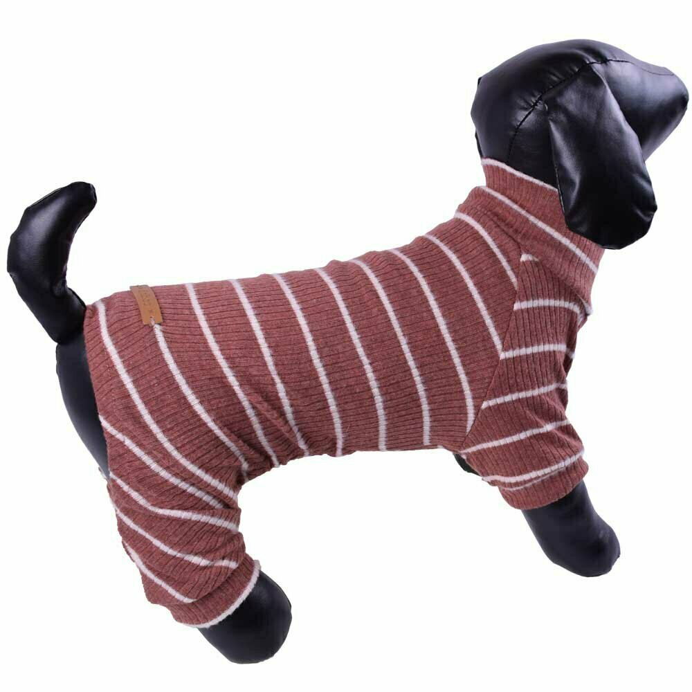 Striped dog jogger olive red