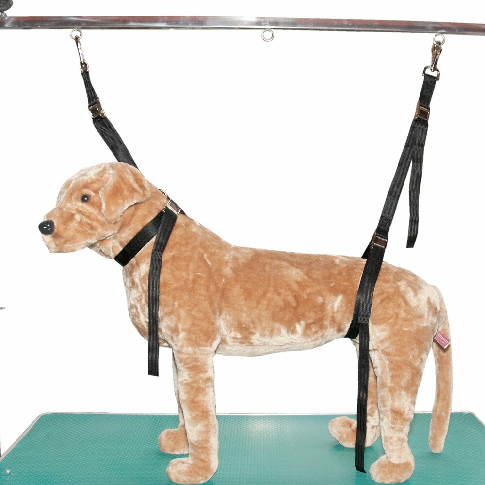 Nylon noose for dogs