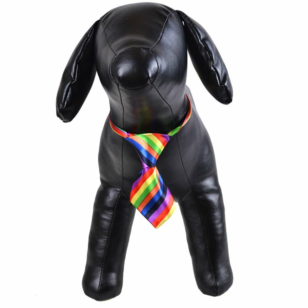 Necktie for dogs colorful striped