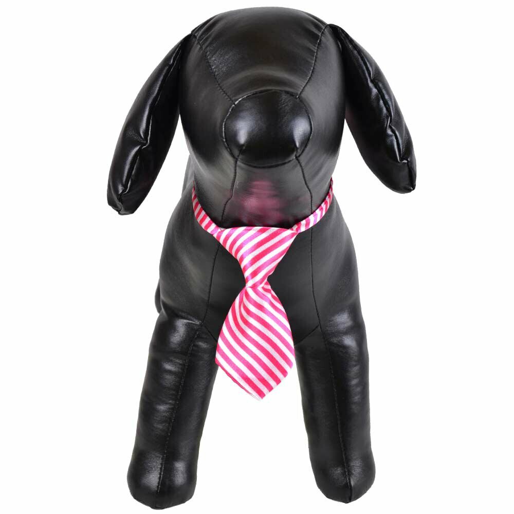 Necktie for dogs pink, white striped
