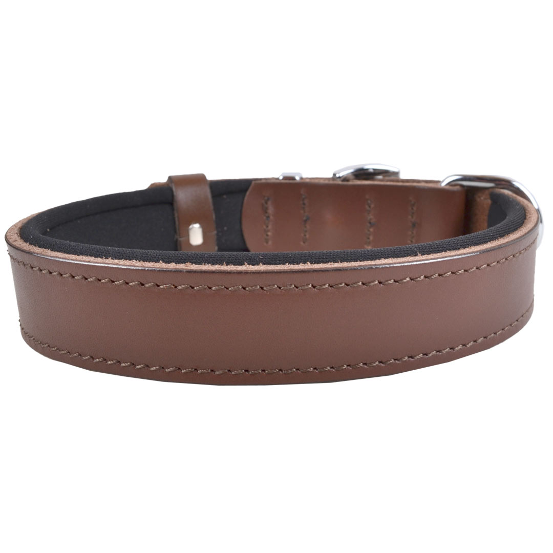 Robust genuine leather dog collars with soft padding for optimum wearing comfort