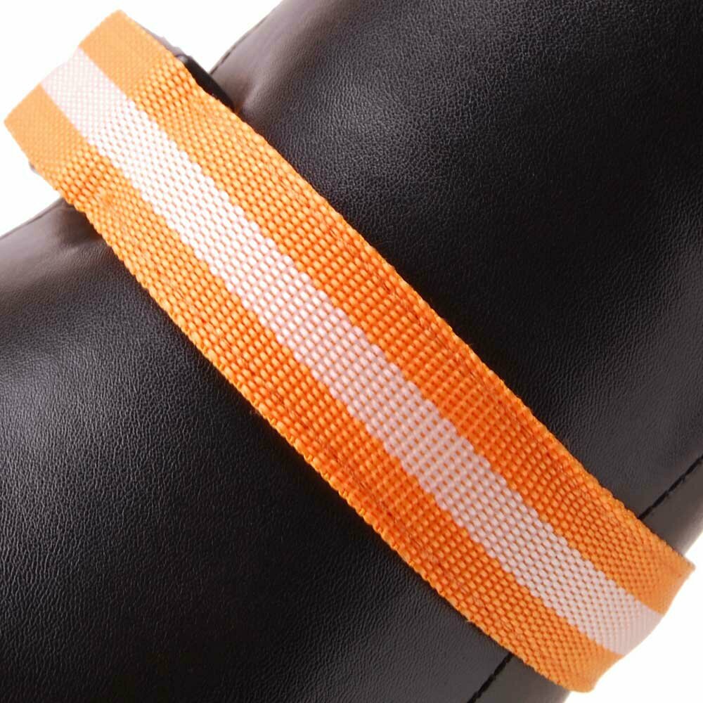 Luminous collars of GogiPet - Cheap collars with good quality orange