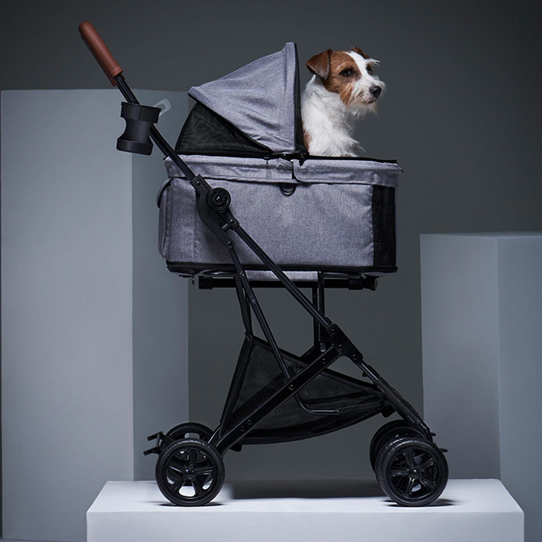 Modern dog stroller