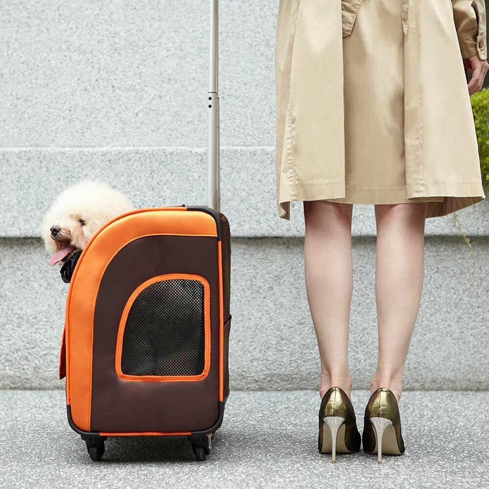 Modern dog backpack and dog trolley all in 1