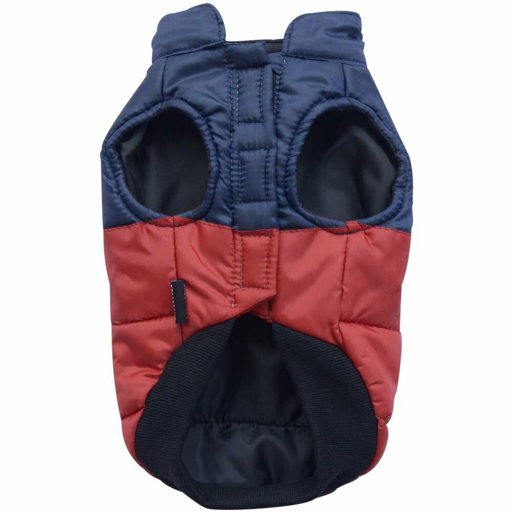 Warm dog anorak for large dogs - blue red dog coat of DoggyDolly BD014