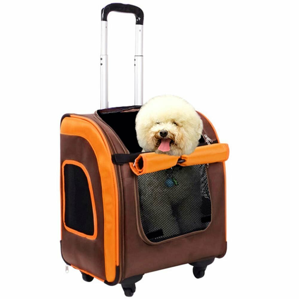 Comfortable dog trolley and dog pack for travel