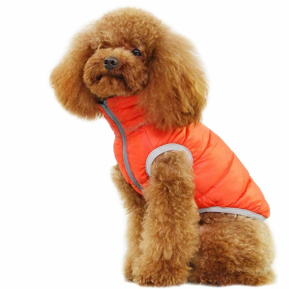 dog down jacket orange or green as a reversible jacket for dogs