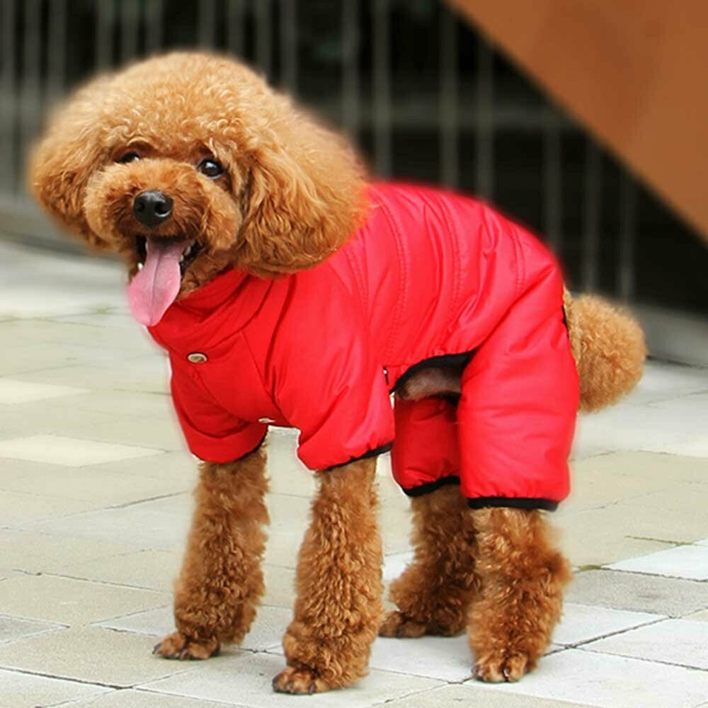 Snow suit for dogs red with 4 legs