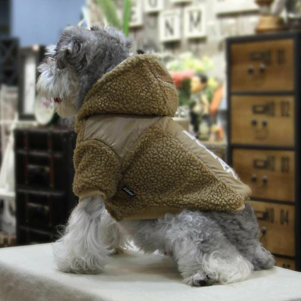 Fashionable dog clothes for the winter