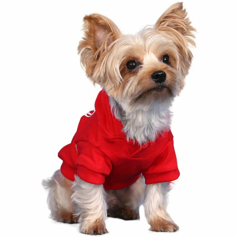 Royal Divas dog pullover red of DoggyDolly W031