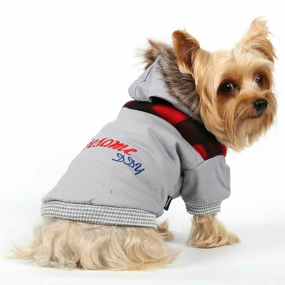 DDY Awesome dog jacket for winter