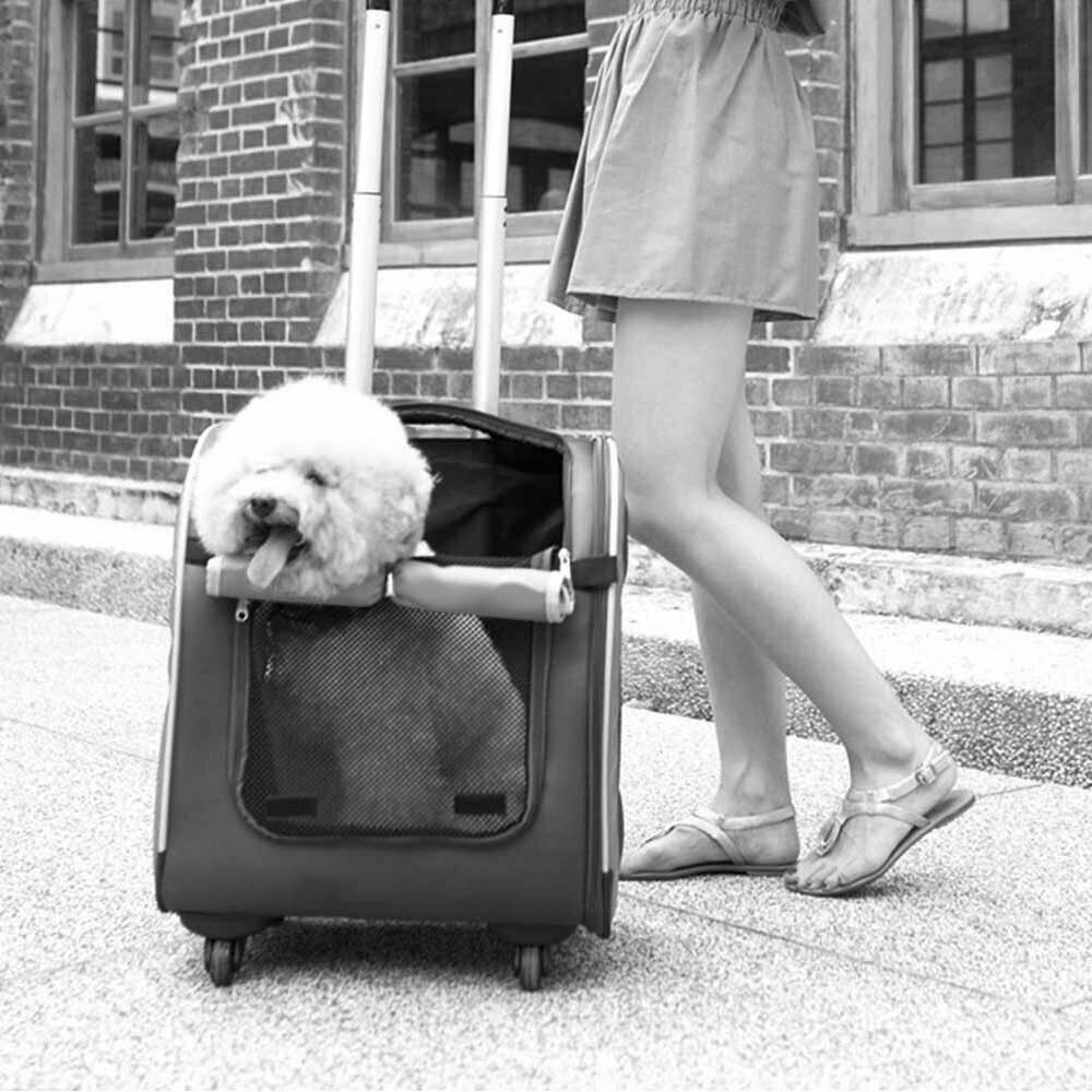 Affordable and high quality dog trolley and dog backpack Combi