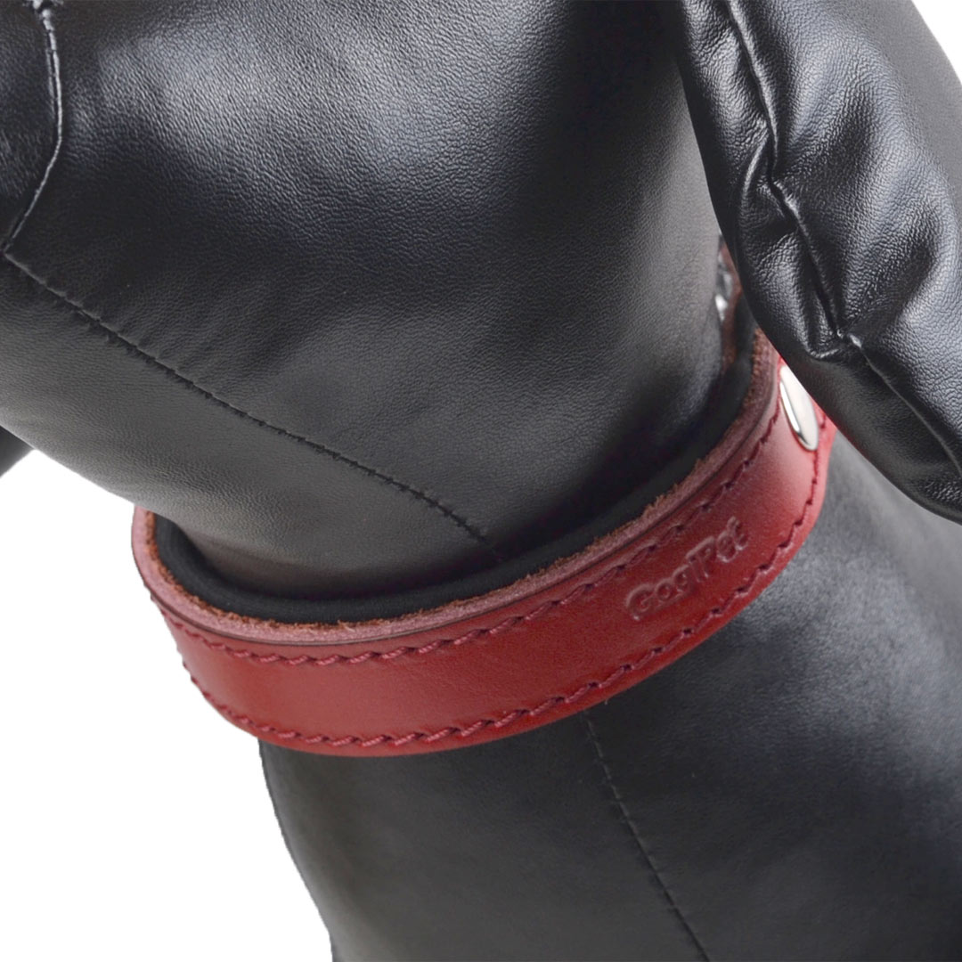 Soft lined genuine leather dog collars from GogiPet