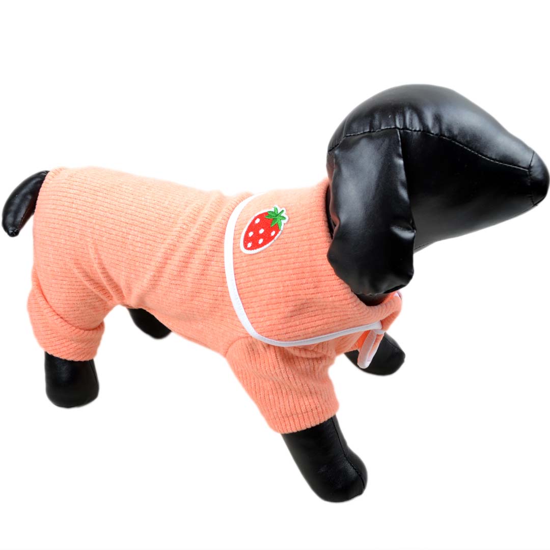Orange dog romper suit - with strawberry on collar