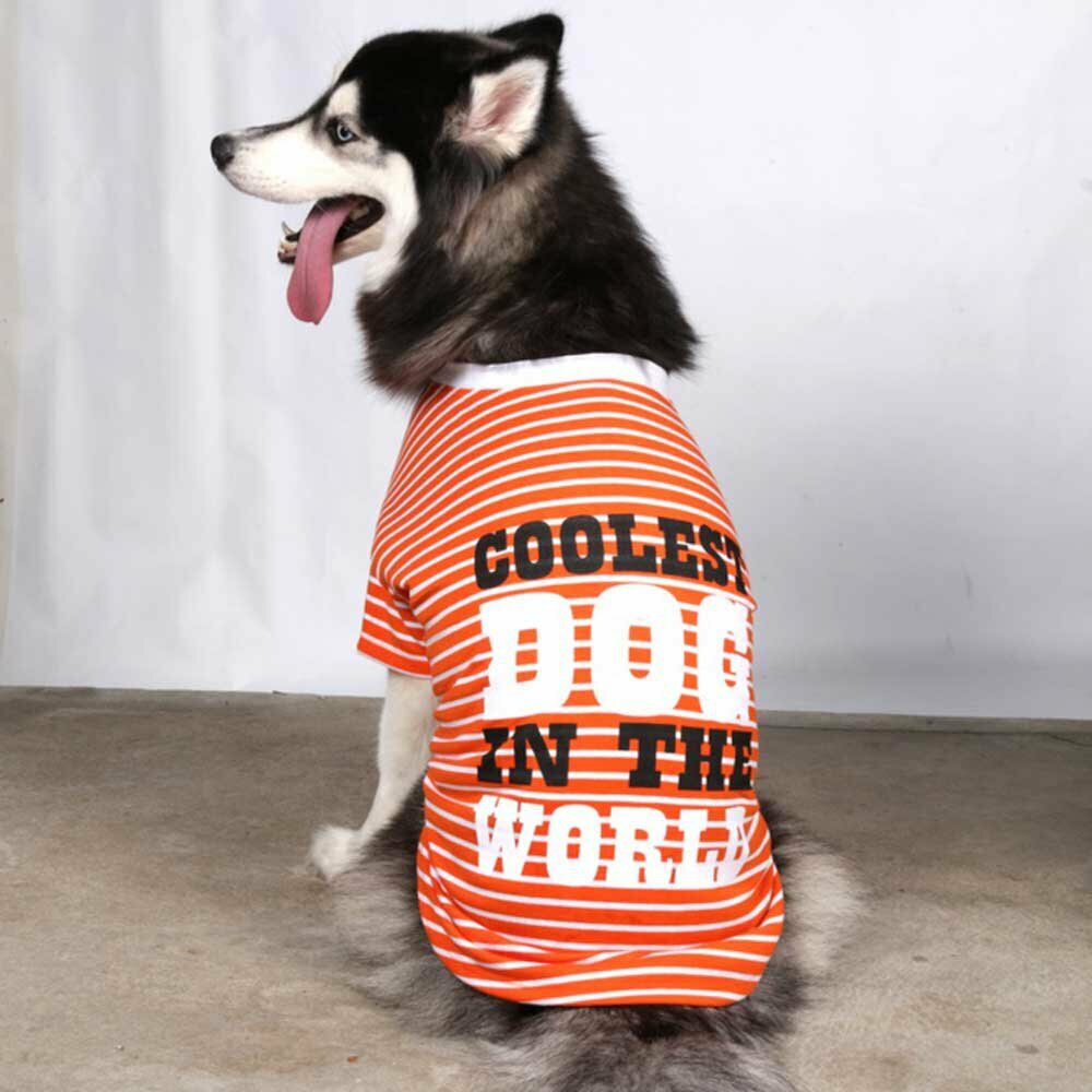 Dog clothing for large dogs - DoggyDolly BD214