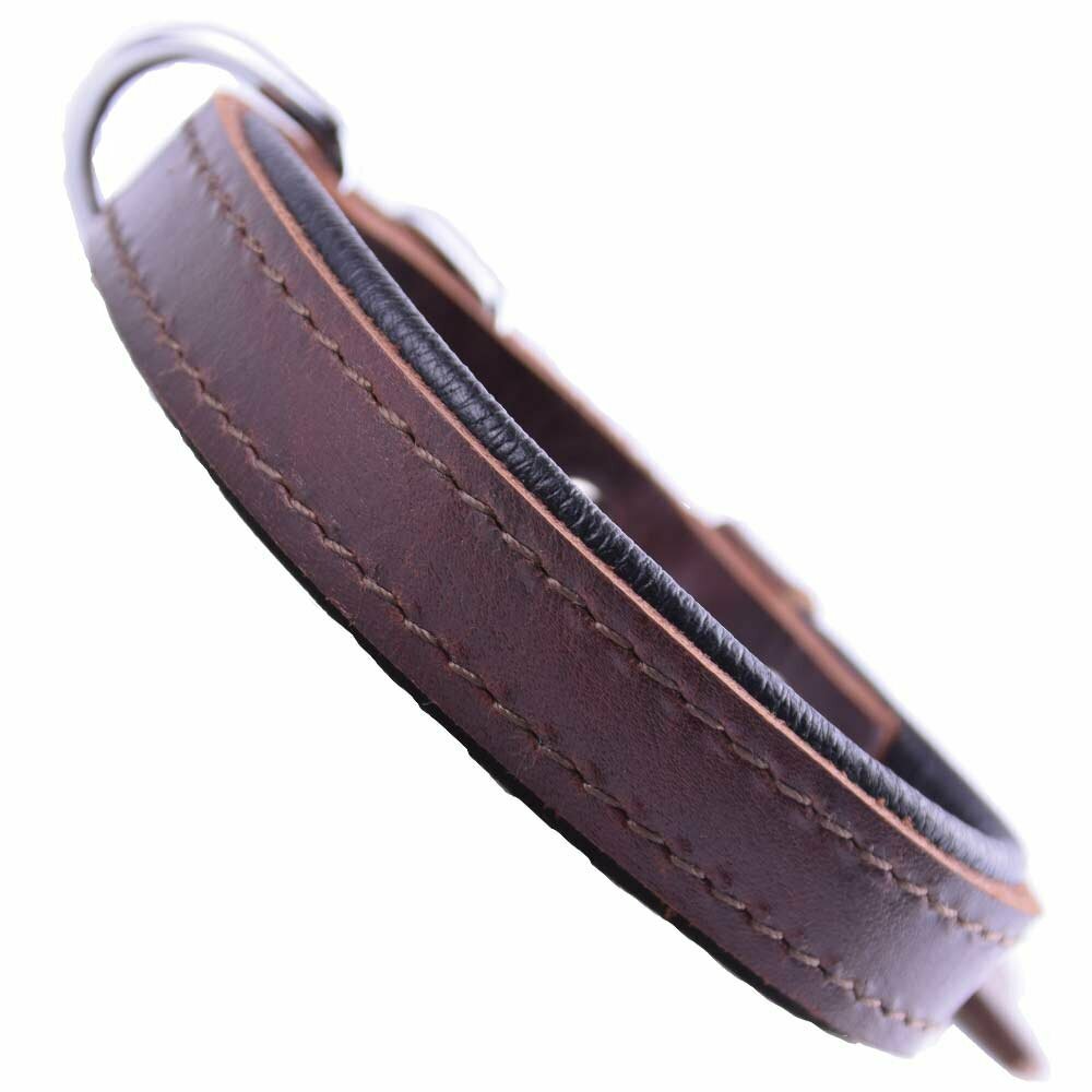 Brown genuine leather dog collar from GogiPet