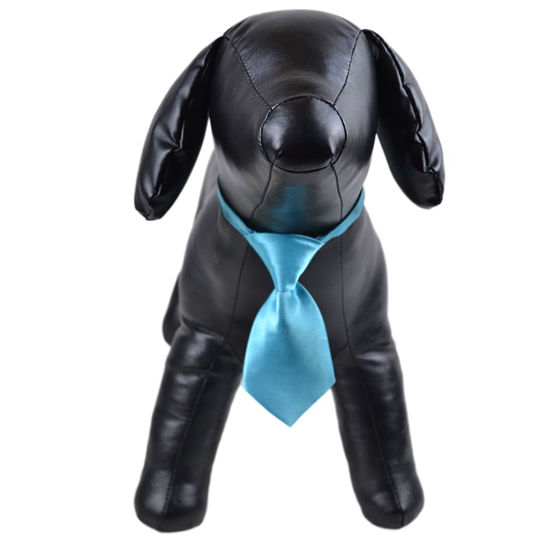 Turquoise Tie for Dogs