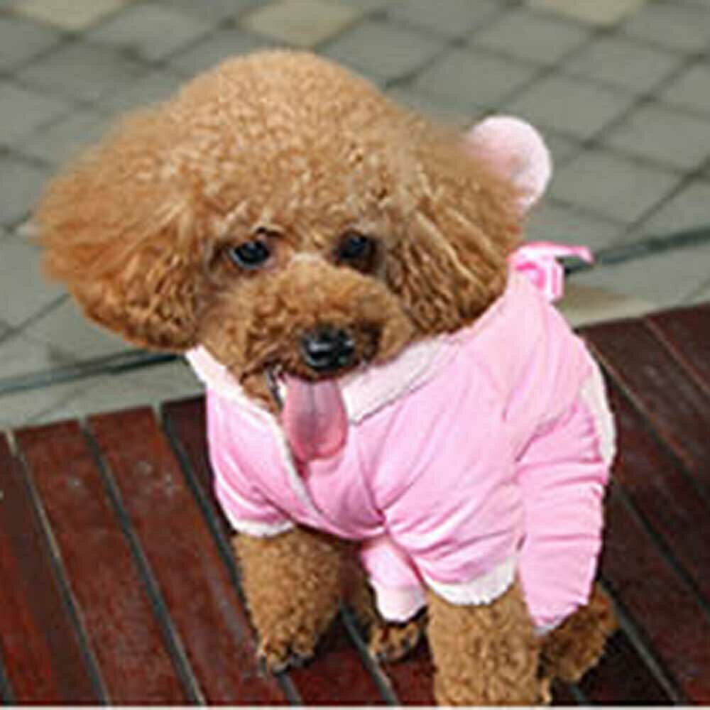 Pink dog clothes for the winter