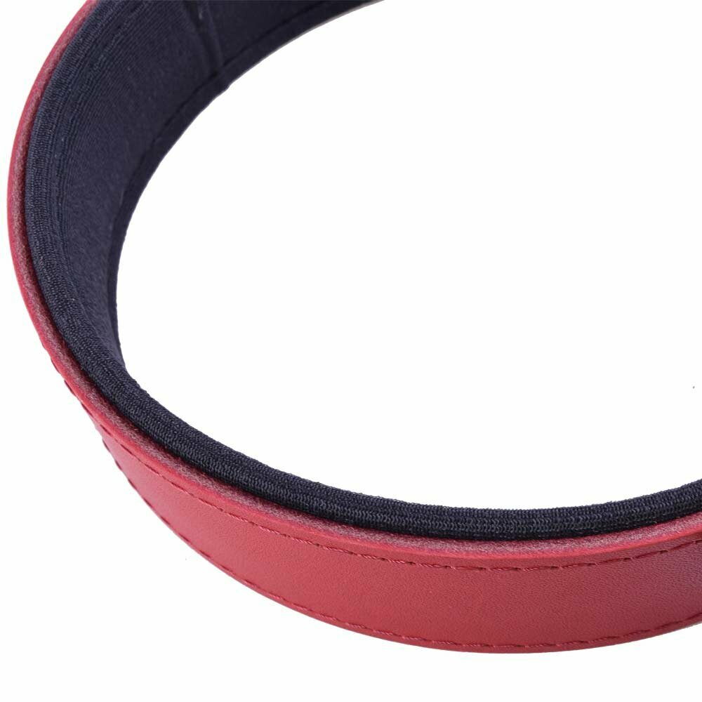 Very comfortable genuine leather dog collar from GogiPet®