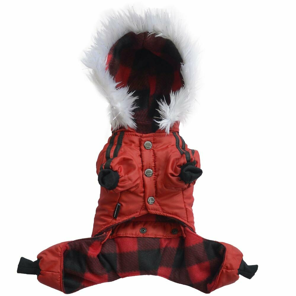 rear view red dog coat for snow and ice