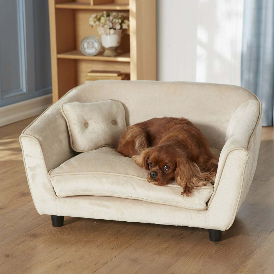 GogiPet ® dog sofas for luxury accustomed Dogs