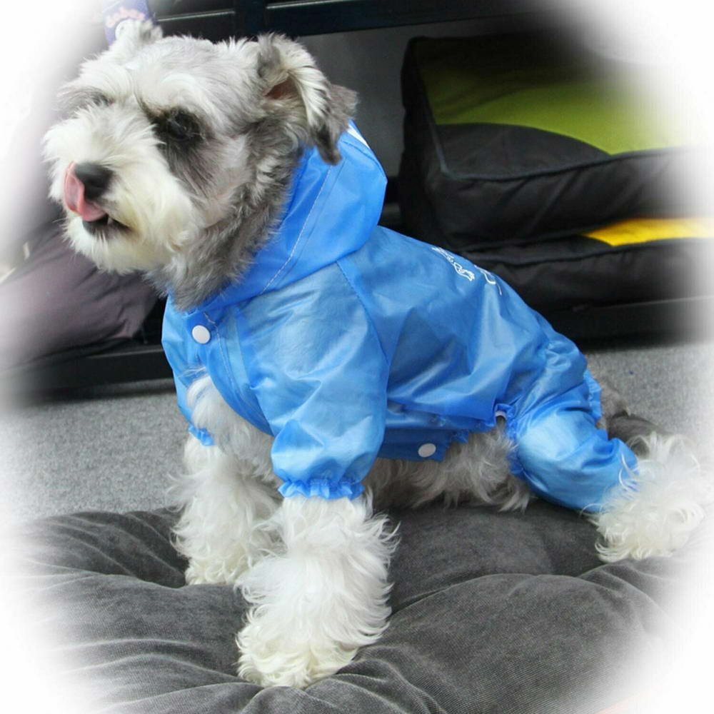 Raincoat for dogs Walking in the Rain Blue