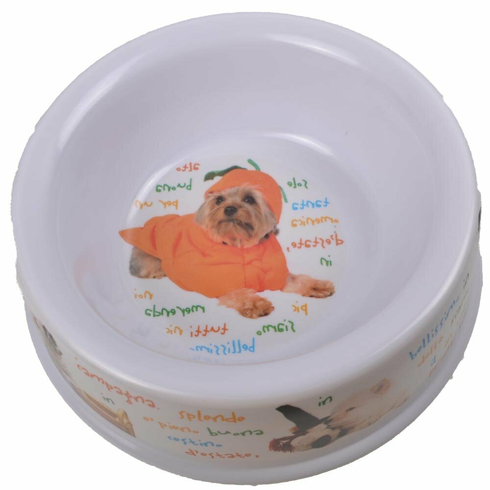 White pet bowl with italien sayings 1.1 liters