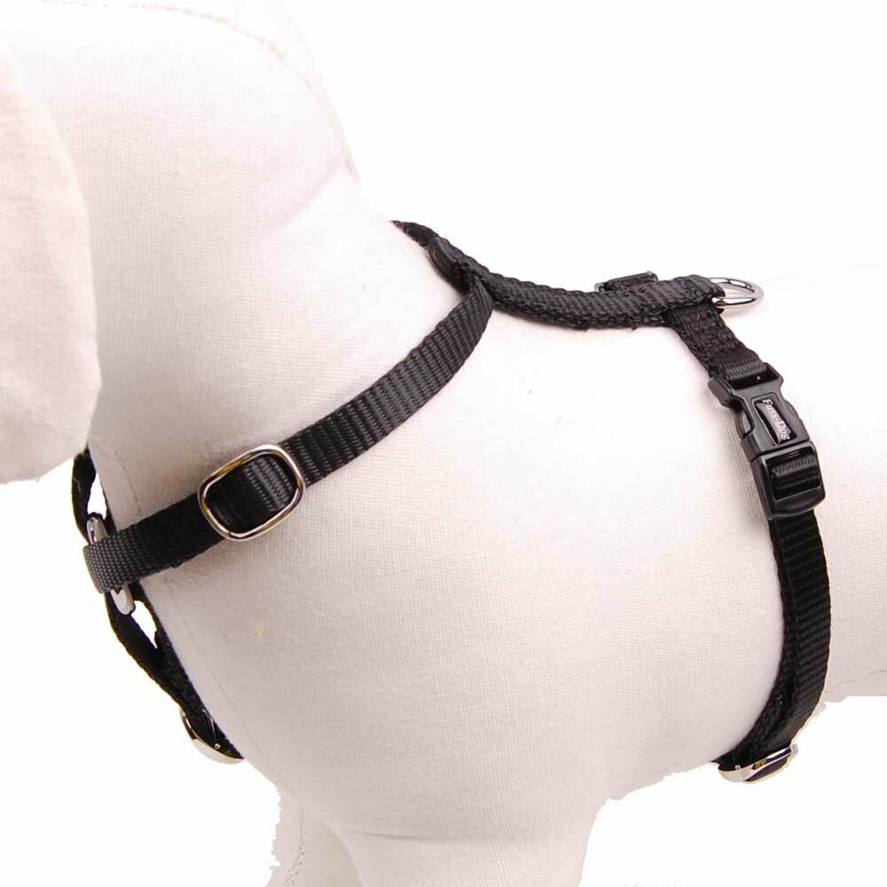 black harness for dogs Nylon 25 mm