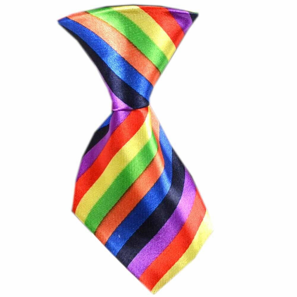 Dog tie colorful striped