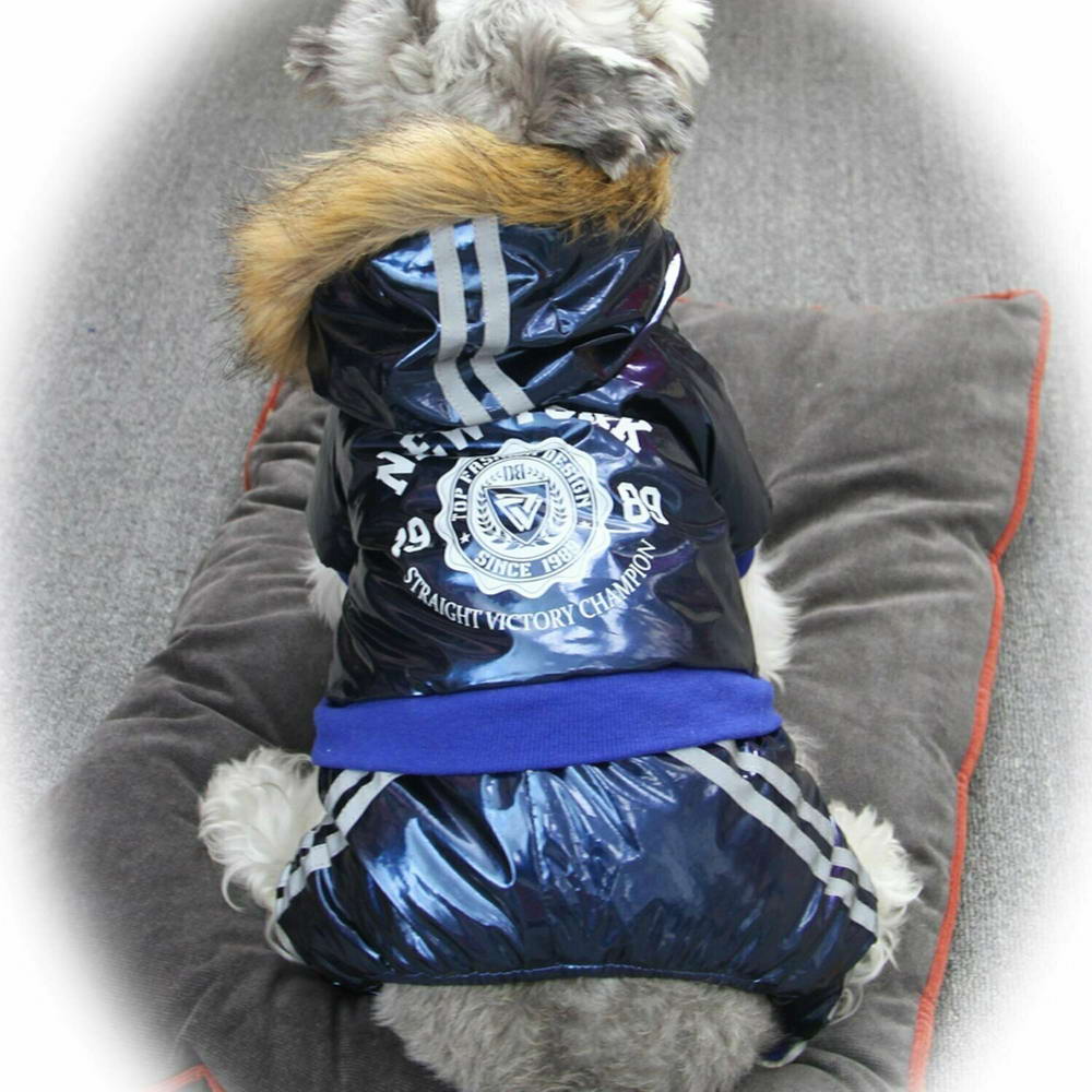 Warm winter coat for dogs blue