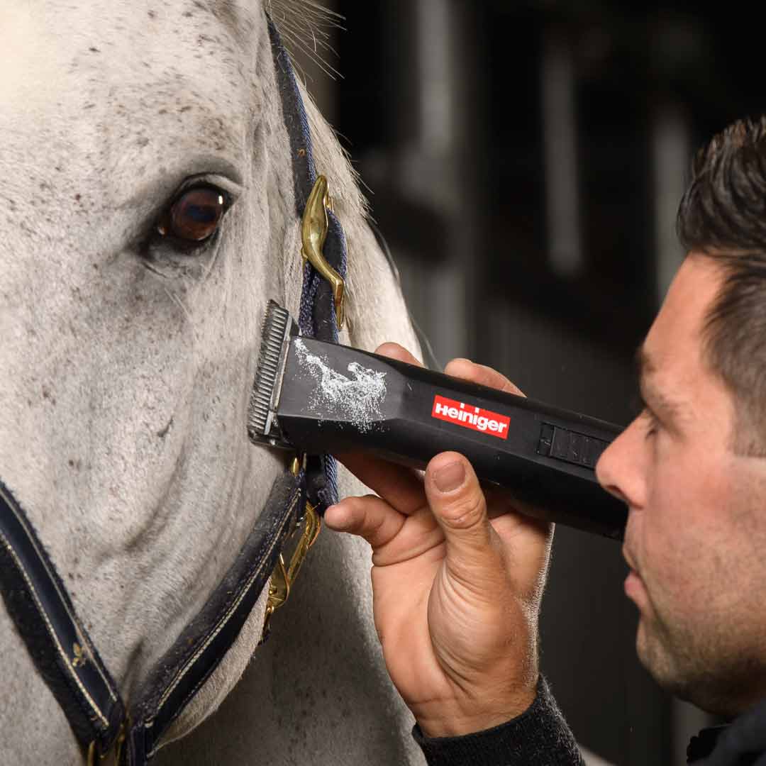 Low vibration clipper for partial horse clipping - Heiniger Saphir Horse