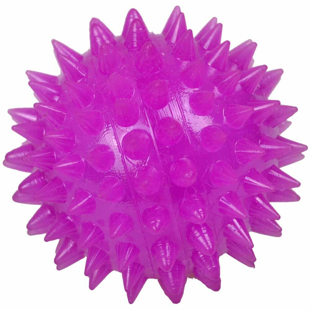 Purple sound ball with light - dog toy