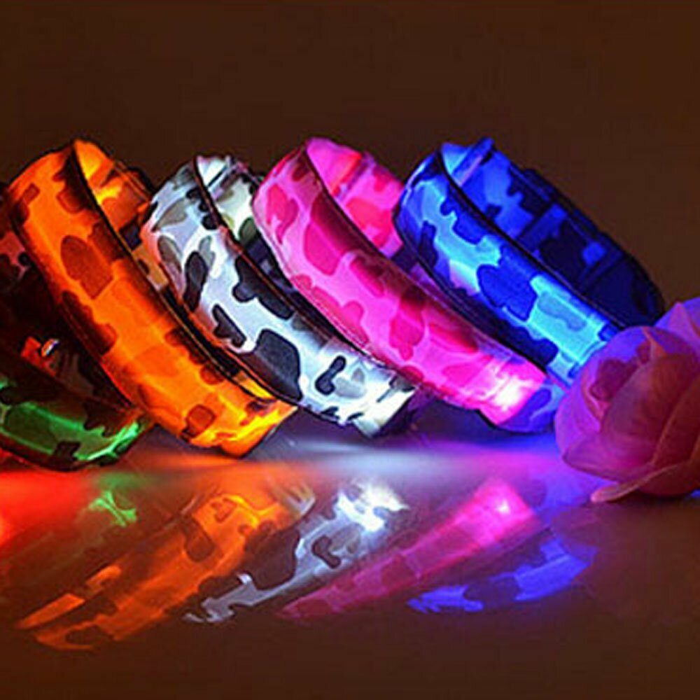 Flashing necklace - Flash collars for your dog well is seen