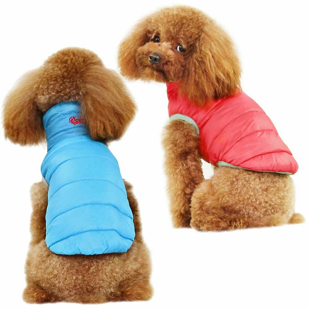 Real down reversible jacket for dogs blue & red - hot dog clothes