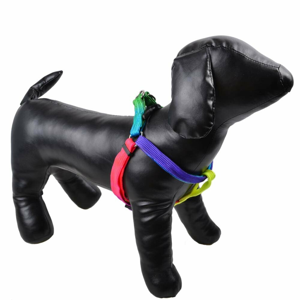 Dog harness in rainbow colors