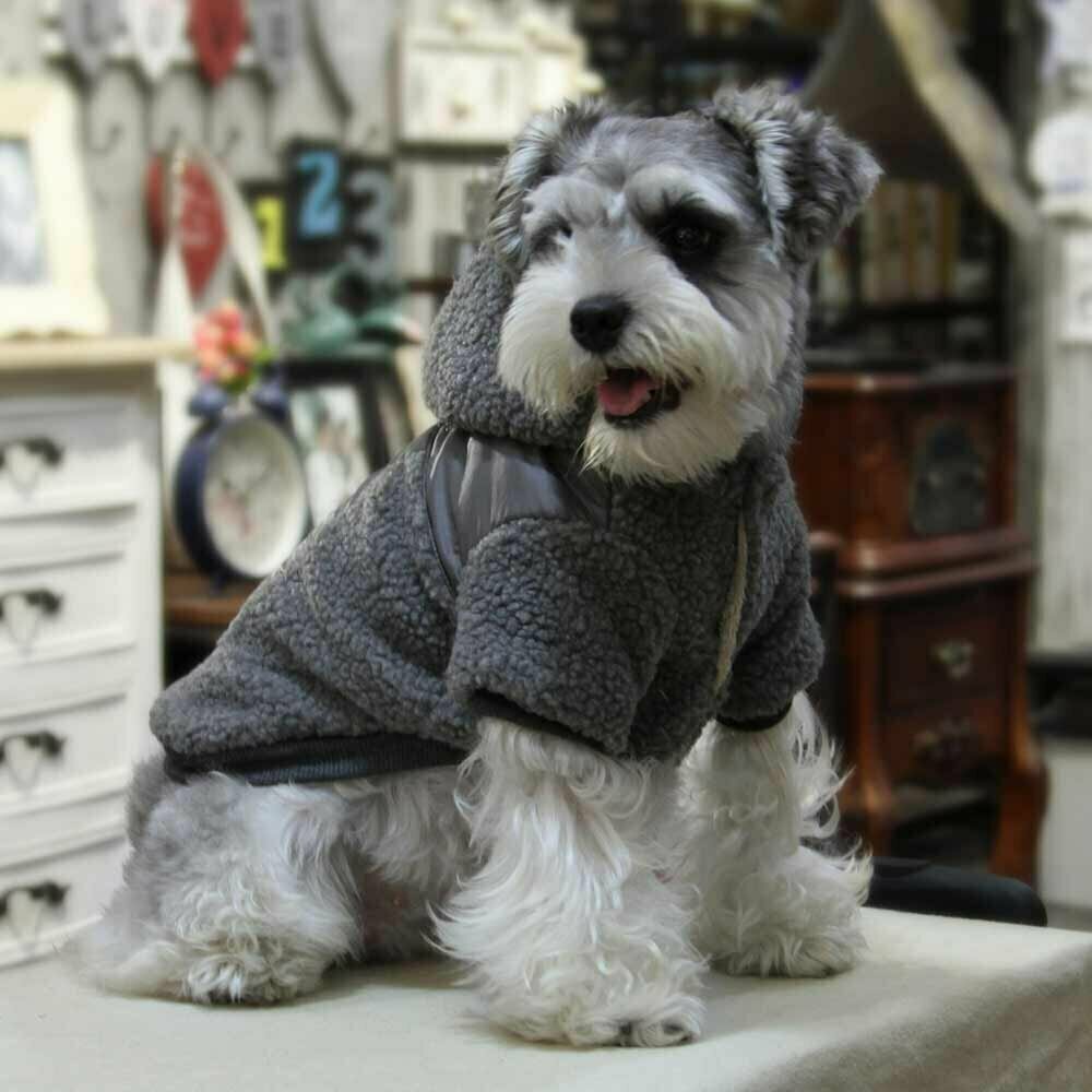 Beautiful gray dog coat with hood