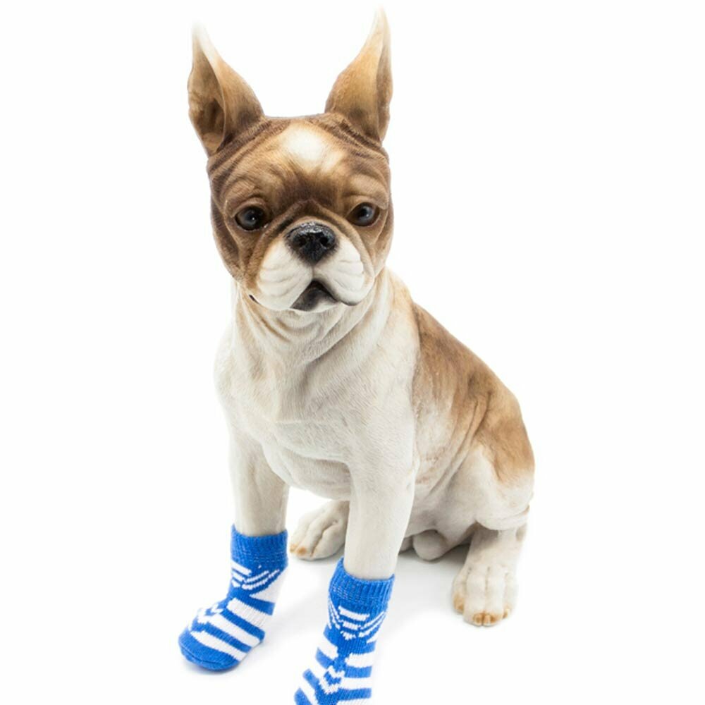 High quality dog socks by GogiPet light blue