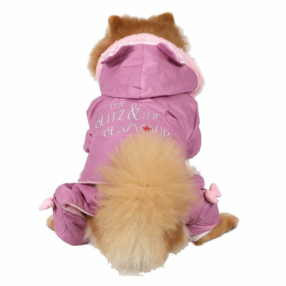 DoggyDolly W100 dog coat with detachable hood and trousers