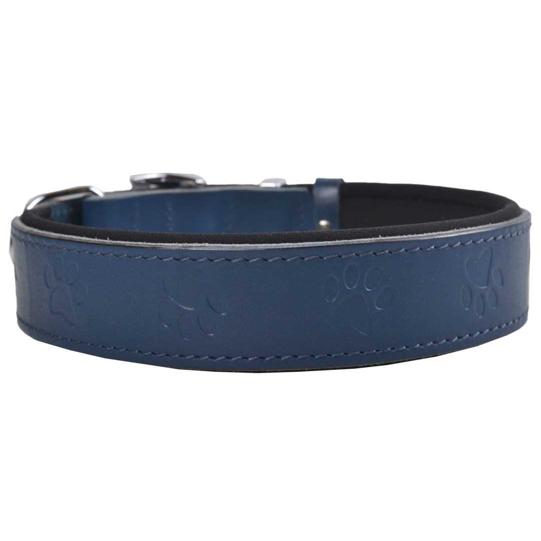 Cute, blue genuine leather dog collar with paws from GogiPet