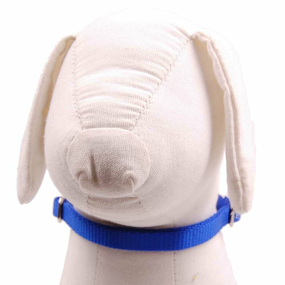 Blue dog collar - martingale collar made of Nylon