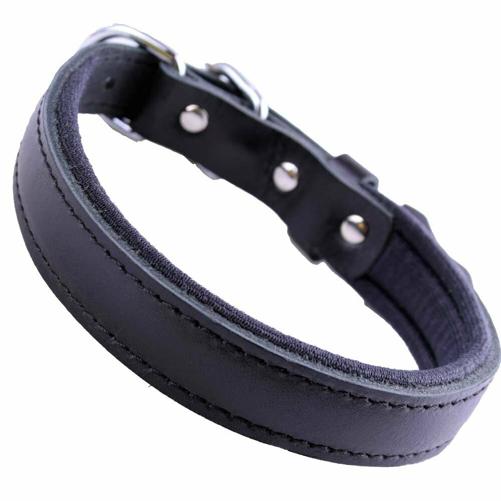 GogiPet® comfort leather dog collar black with 40 cm